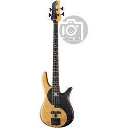 Sonstige 4-Saiter E-Bässe