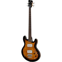 Basses Electriques Signatures