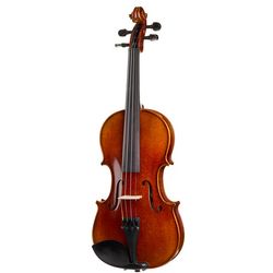 Violons Acoustiques