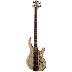 Miscellaneous 4-String Basses