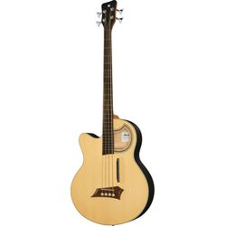 Bassi Acustici Fretless