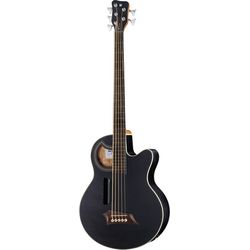 Baixos acústicos Fretless