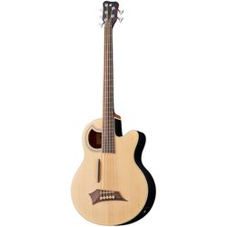 Akustische und Halbakustische Bässe