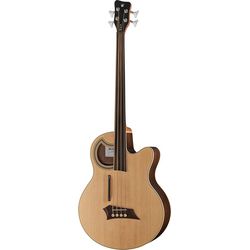 Bassi Acustici e Semi-Acustici