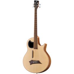 Bassi Acustici e Semi-Acustici