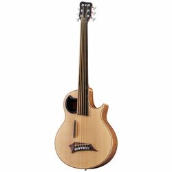 Baixo acústico ou semi-acústico