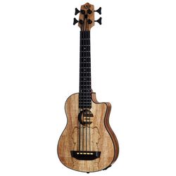 Bassi Acustici e Semi-Acustici