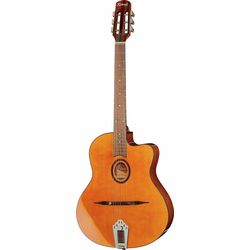 Autres Guitares Acoustiques