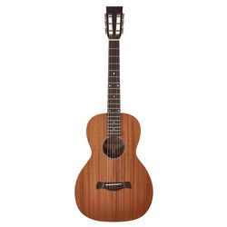 Folk guitarer