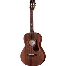 Folk guitarer