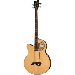 Acoustic & Semi-Acoustic Basses