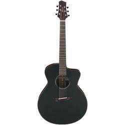 Guitares Acoustiques Signature