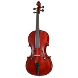 Viole Acustice