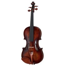Akustisk violin/fiol