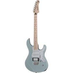 Electric Guitars