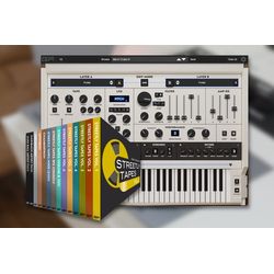 Software Synthesizers