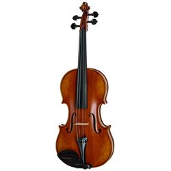 Violons Acoustiques