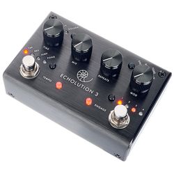 Delay/Echo Pedals