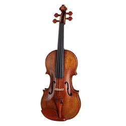 Violini e Viole