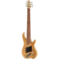 Miscellaneous 6-String Basses