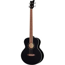Bassi Acustici e Semi-Acustici