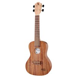 Konzert Ukulelen