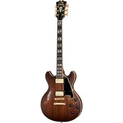 Hollowbody Gitaren