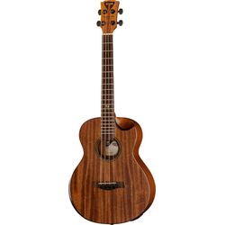 Basses Acoustiques 4 Cordes