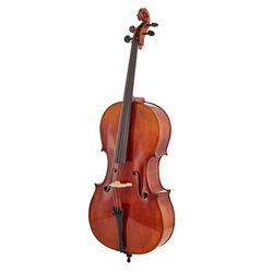Violoncelles Acoustiques