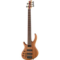 5 saitige Linkshänder E-Bässe