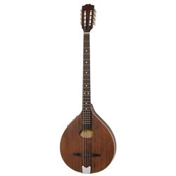 Irsk bouzouki