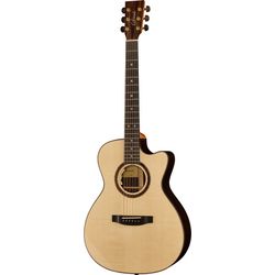 Guitares Acoustiques Haut de Gamme