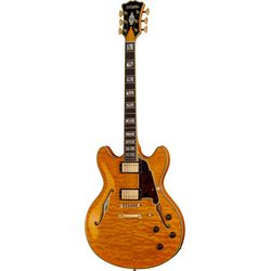 Semiacoustic Guitars