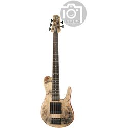 Miscellaneous 5-String Basses