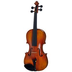 Violini e Viole