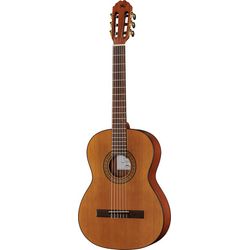 Guitarras de concierto 7/8