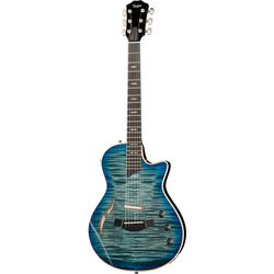 Semiacoustic Guitars
