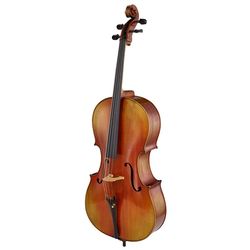 Violoncelles Acoustiques