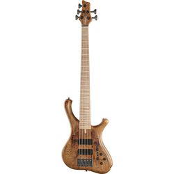 Autres Basses 5 Cordes