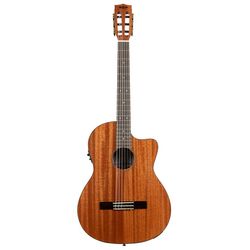 Miscellaneous Classical Guitars