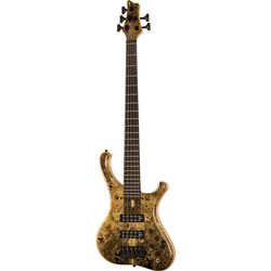Miscellaneous 5-String Basses
