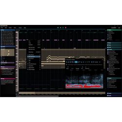 Mastering and Editing Software