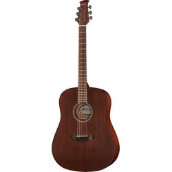 Guitarras acústicas