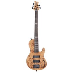 Autres Basses 5 Cordes