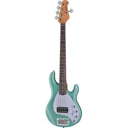 Miscellaneous 5-String Basses