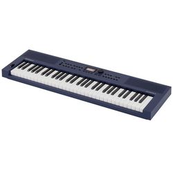 Claviers Arrangeurs d'Initiation