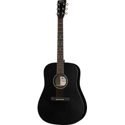 Acoustic Guitars