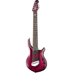 Signature Guitars