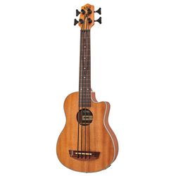 Acoustic & Semi-Acoustic Basses