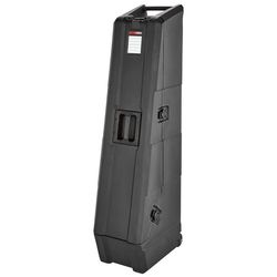 Custodie per Bassi Elettrici